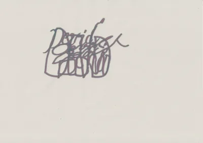 dsg 2