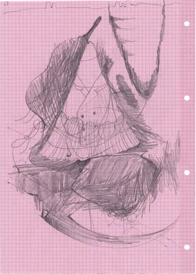 maicol 4