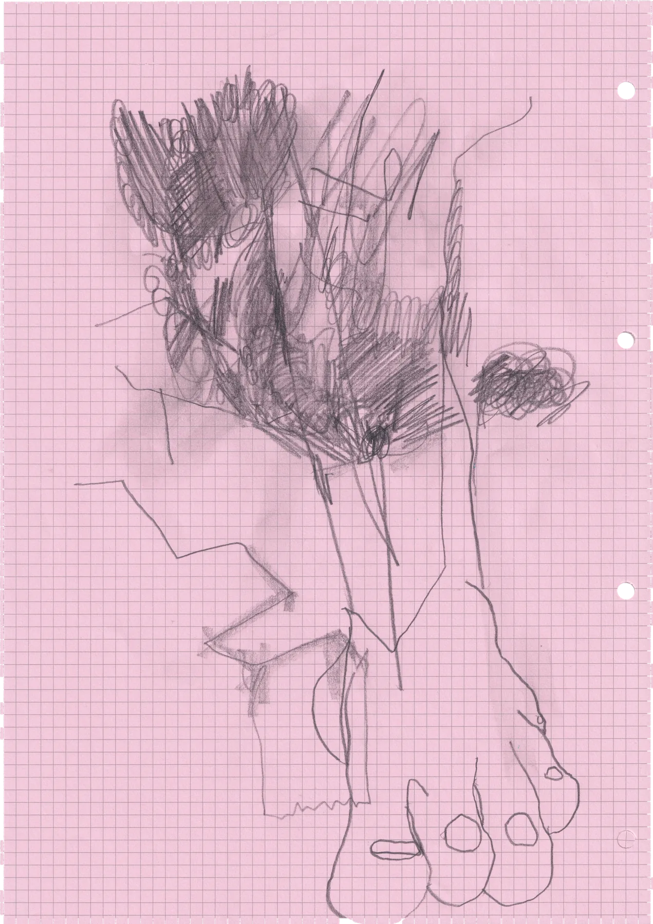 Notes from Paltacrea2026, view 4