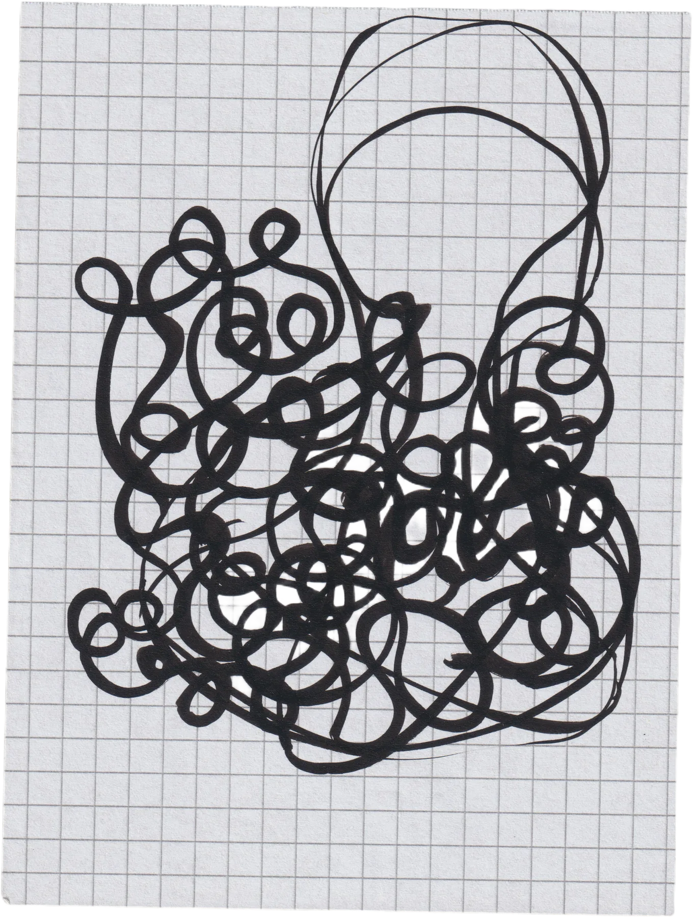 Florian, view 2